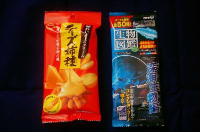 Kaki No Tane cheese rice crackers and Seibutsu Zukan sea creature gummies from Japan