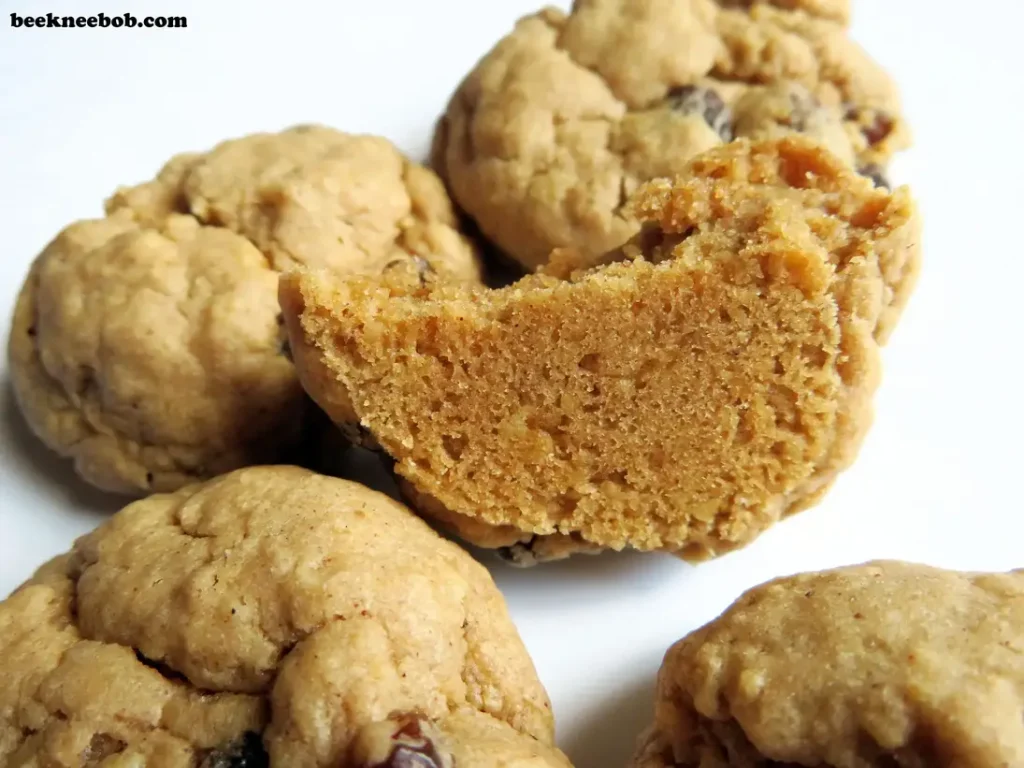 The bottom texture of a half-eaten oatmeal raisin cookie